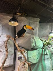 -Zoolung Zoolung动物主题公园(海信广场店)