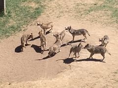 -鄂尔多斯野生动物园