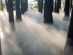 -东湖落雁景区