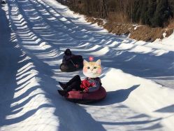 -优沃得自然教育农场·冰雪乐园·生日会·研学