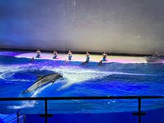 -上海海昌海洋公园