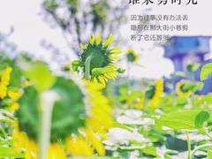 -广州花之恋城堡酒店