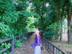 -三鹰之森吉卜力美术馆