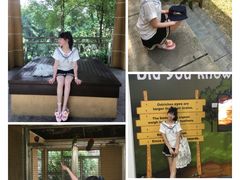 -吉隆坡雀鸟公园