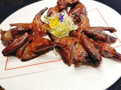鸽-马仕玖煲·融合菜·酥不腻烤鸭(人大店)