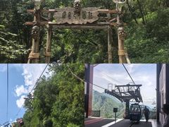 -武陵山森林公园