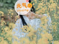 -光明小镇欢乐田园