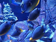 -成都浩海立方海洋公园