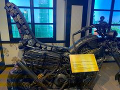 -信不信由你博物馆