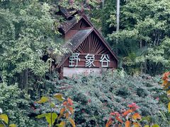 -野象谷景区
