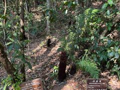 -普洱太阳河森林公园