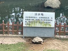 -广东惠东海龟国家级自然保护区