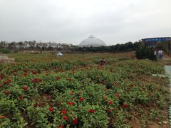 -武汉紫薇都市田园