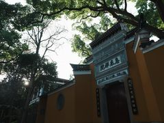 -普陀山慧济禅寺