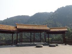 -铁山坪森林公园