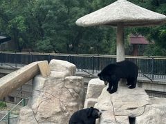 -石家庄市动物园