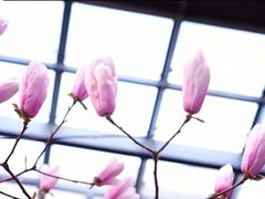 -中粮·祥云小镇