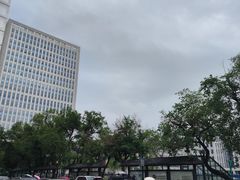 -黑龙江中医药大学附属第一医院