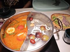 -椰子湾·海南火锅·糟粕醋·椰子鸡(正大广场店)