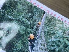 -西双版纳原始森林公园