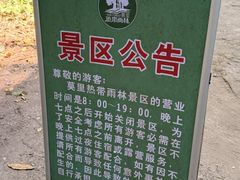 -莫里热带雨林景区