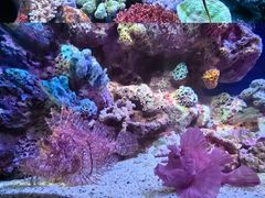 -暹罗海洋世界