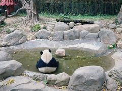 -广州长隆野生动物世界