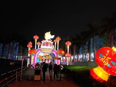 -欢乐海岸椰林沙滩-2025湾区超级灯会
