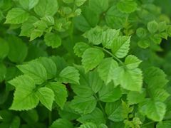 -鼎族怡华·指压·经络·疗愈SPA(紫荆店)