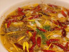 -太二酸菜鱼(石家庄万象城店)