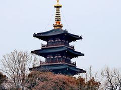 -枫桥景区