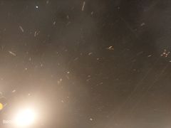 -半天妖烤鱼(丰科万达店)