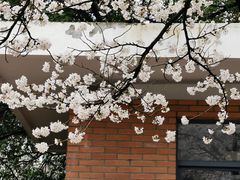 -幕燕滨江·长江观音景区