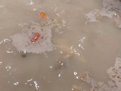 -好彩猪肚鸡(正弘城店)