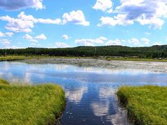 -塞罕坝国家级自然保护区