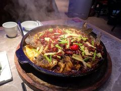 -老板恋上鱼(恒隆广场店)