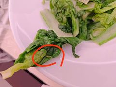 -长沙芙蓉国温德姆至尊豪廷大酒店-自助餐厅