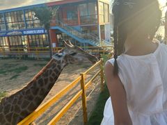 -西霞口神雕山野生动物世界