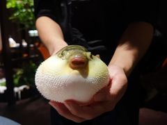 -肆月河豚·淮扬菜·湘菜(华天店)