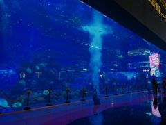 -成都浩海立方海洋公园