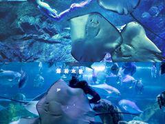 -南京海底世界
