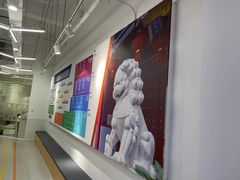 -斯坦星球AI编程·机器人科创·科学实验·信奥·思维·STEM·积木拼搭·竞赛考级(浦东联洋广场大拇指龙阳御桥中心)