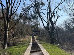 -青龙山国家森林公园