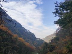 -西安祥峪森林公园