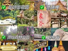 -西双版纳原始森林公园