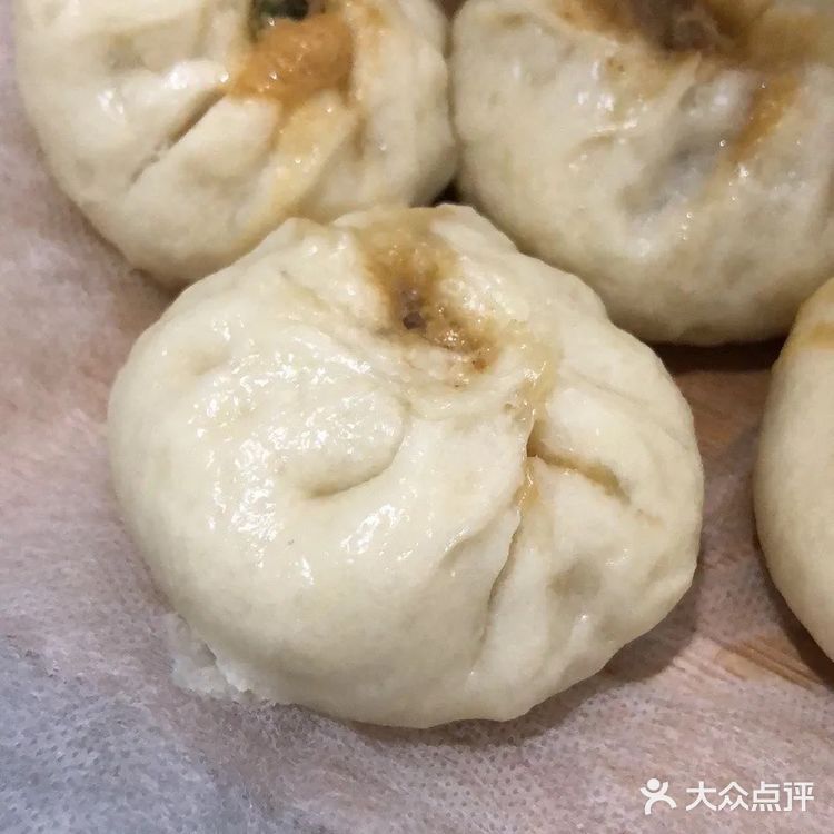 一人食之大葱猪肉包子好吃到流泪私人菜谱大公开