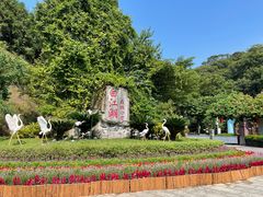 -广州白江湖森林公园