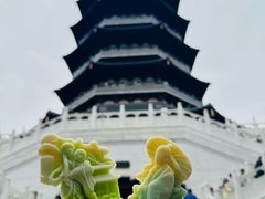 -西湖游船