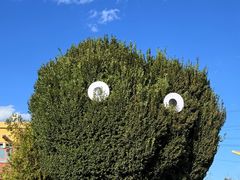 -特克斯八卦城