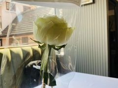 情人节玫瑰花-蝶舍·MAISON PAPILLON